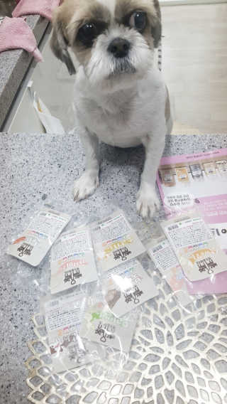 보리엄마님이 올린 리뷰 사진 3