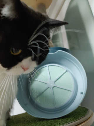 고고고님이 올린 리뷰 사진 3