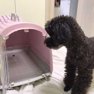 마카뇽님이 올린 리뷰 사진 1