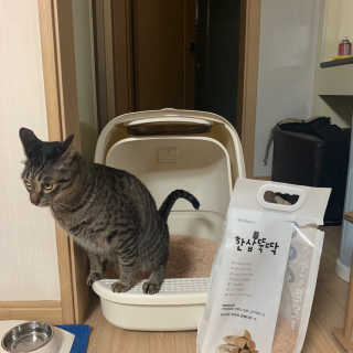 보니타님이 올린 리뷰 사진 2