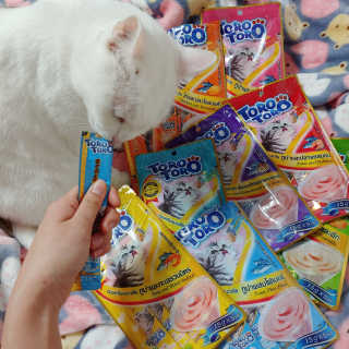 펫토리아 짜먹는 토로토로 고양이 파우치 간식 — 4점을 준 리뷰어가 2019년 6월 올린 사용 사진