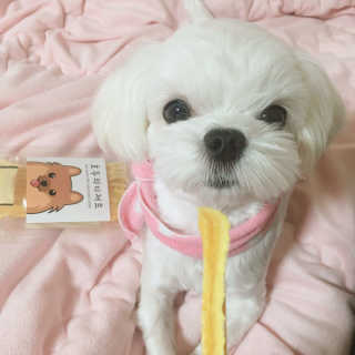 예리님이 올린 리뷰 사진 1