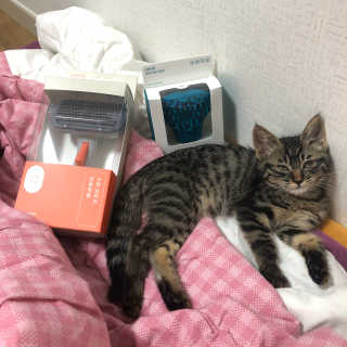 우리님이 올린 리뷰 사진 1