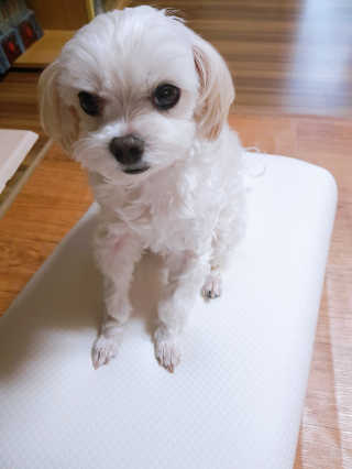 youngran님이 올린 리뷰 사진 2