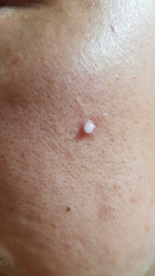 bobaeg님이 올린 리뷰 사진 2