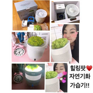 샤넬님이 올린 리뷰 사진 2