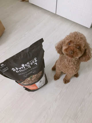 오월그리고나의샤님이 올린 리뷰 사진 1
