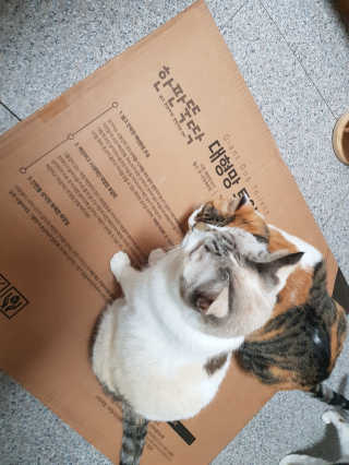 김지운님이 올린 리뷰 사진 1