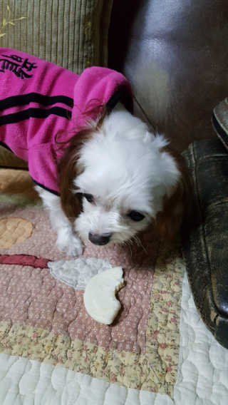 유징징님이 올린 리뷰 사진 1
