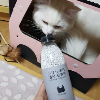Hyojician님이 올린 리뷰 사진 3