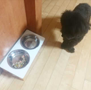 얍삐님이 올린 리뷰 사진 3
