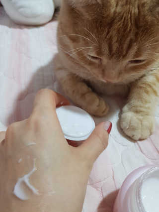 유앤미님이 올린 리뷰 사진 2