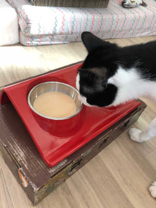 됴이님이 올린 리뷰 사진 2
