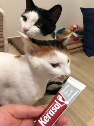 됴이님이 올린 리뷰 사진 3