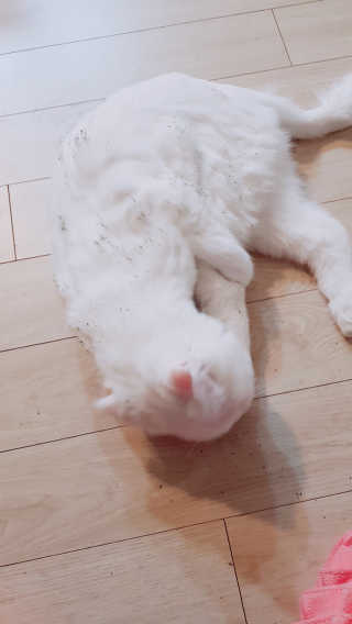 논지님이 올린 리뷰 사진 2