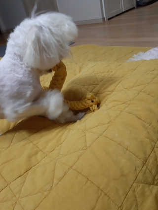 꿍님이 올린 리뷰 사진 1