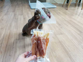 갓수진님이 올린 리뷰 사진 1