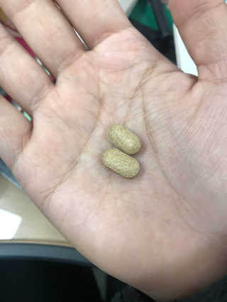 김가롱님이 올린 리뷰 사진 3