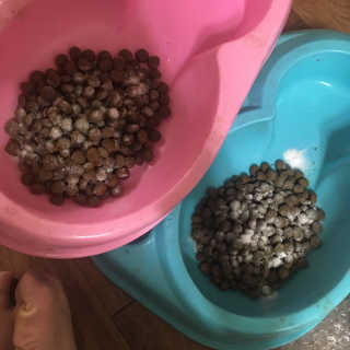 댕꿀님이 올린 리뷰 사진 2