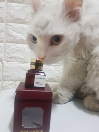 씨크토끼님이 올린 리뷰 사진 1