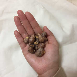 드림캐슈넛 50g X 6개 — 5점을 준 리뷰어가 2018년 9월 올린 사용 사진