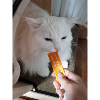 으하하하하님이 올린 리뷰 사진 3
