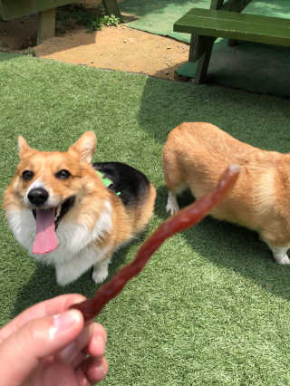 YejiChoi님이 올린 리뷰 사진 3