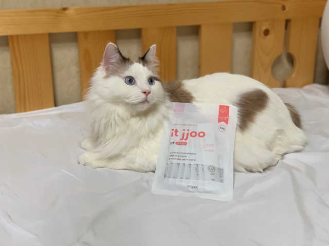 잇쭈 리뷰 사진