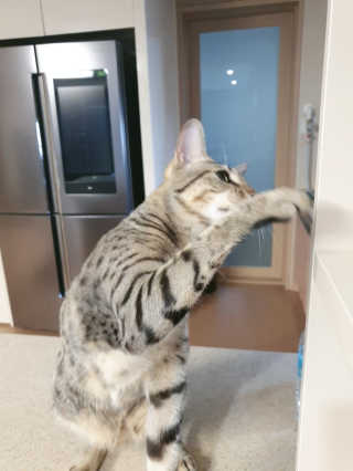 영님이 올린 리뷰 사진 2