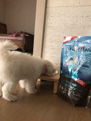 갱티치님이 올린 리뷰 사진 3