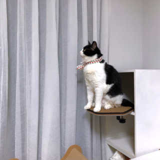 진콩이님이 올린 리뷰 사진 3