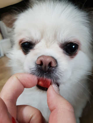 뽀메곰님이 올린 리뷰 사진 3