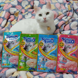 펫토리아 짜먹는 토로토로 고양이 파우치 간식 — 4점을 준 리뷰어가 2019년 6월 올린 사용 사진