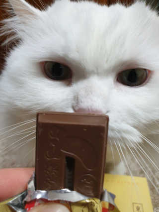 Woo7C님이 올린 리뷰 사진 2