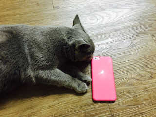 jinheeee님이 올린 리뷰 사진 3