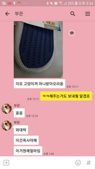 Four paws 리뉴얼 포포즈 매직코트 털 제거 브러쉬 — 5점을 준 리뷰어가 2018년 8월 올린 사용 사진