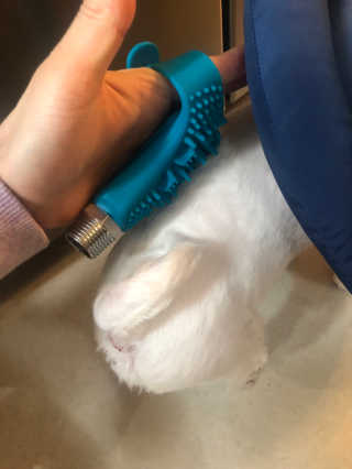 황방울이님이 올린 리뷰 사진 3