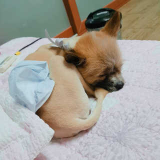 쭈님이 올린 리뷰 사진 2