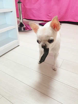 박쫑님이 올린 리뷰 사진 3