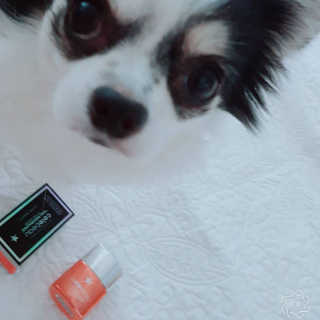 둥꼬님이 올린 리뷰 사진 4