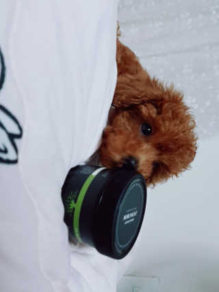 noname님이 올린 리뷰 사진 2