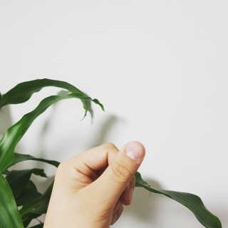 매니앜님이 올린 리뷰 사진 3
