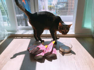 선율님이 올린 리뷰 사진 2