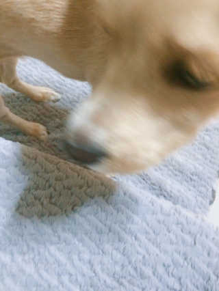 백지수님이 올린 리뷰 사진 2