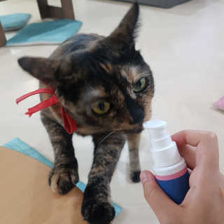 디봉이님이 올린 리뷰 사진 1