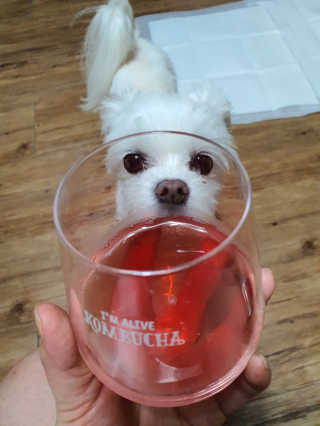 뽀오오옹님이 올린 리뷰 사진 3