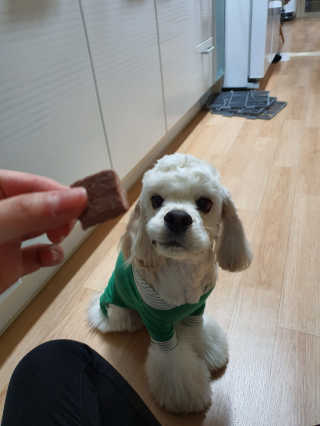 째니니님이 올린 리뷰 사진 3