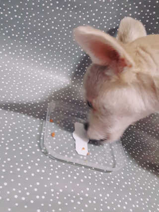 moomoon님이 올린 리뷰 사진 3