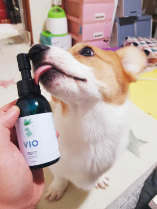 콜보리님이 올린 리뷰 사진 2