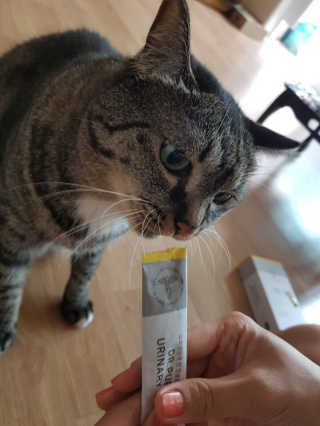 퐝님이 올린 리뷰 사진 1